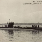 NicolaeUrsuDelfinul