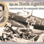 36 - Horia Agarici